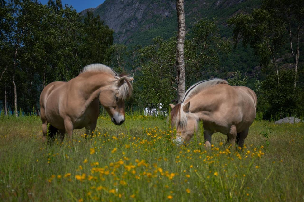 Olden Glamping - One With Nature Stryn Ngoại thất bức ảnh